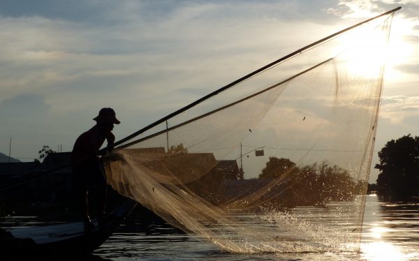 Article : La petite histoire du pêcheur thaïlandais